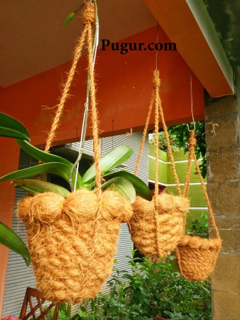 Produksi Pot dari Sabut Kelapa: Peluang Usaha Ramah Lingkungan yang Menjanjikan 1 pot buenga gantueng sabut lapa