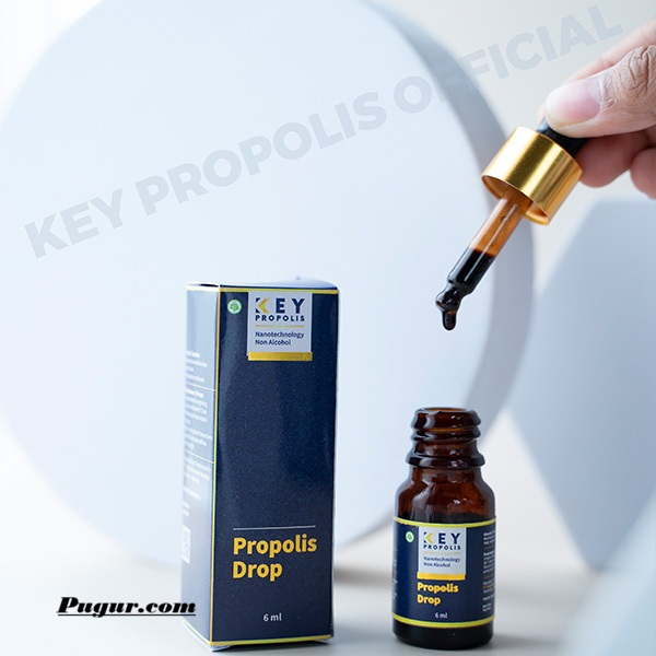 Peluang Usaha Jualan Obat Herbal KEY Propolis, Bisa Dimulai Tanpa Stok Barang