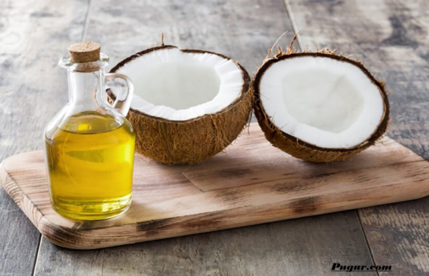 Peluang Usaha Pengolahan Minyak Kelapa yang Menjanjikan, Bisa Dimulai dari Skala Rumahan