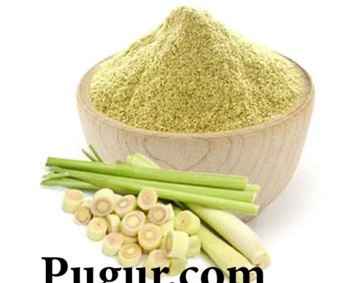 Peluang Usaha Produksi Serai Bubuk untuk Minuman dan Masakan