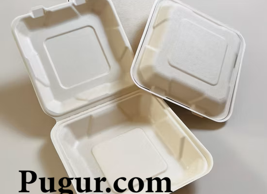 Produksi Kemasan Makanan dari Ampas Tebu, Peluang Usaha Ramah Lingkungan