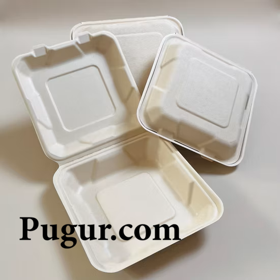 Produksi Kemasan Makanan dari Ampas Tebu, Peluang Usaha Ramah Lingkungan