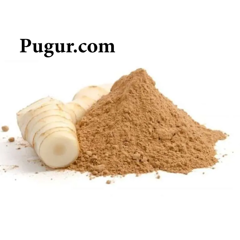 Produksi Lengkuas Bubuk untuk Bumbu Instan: Peluang Usaha Rempah yang Menjanjikan