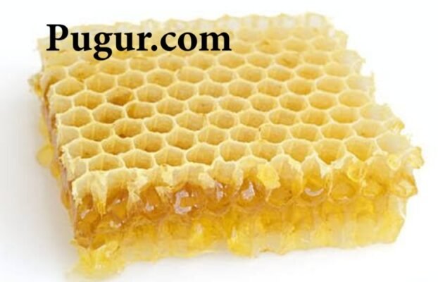 Produksi Beeswax untuk Bahan Kerajinan: Peluang Usaha dari Lilin Lebah