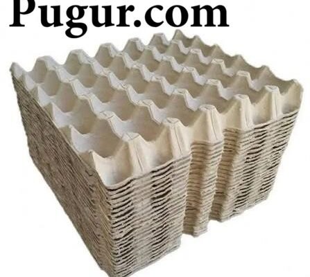 Produksi Wadah Telur Biodegradable dari Serat Kertas: Peluang Usaha Ramah Lingkungan
