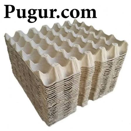 Produksi Wadah Telur Biodegradable dari Serat Kertas: Peluang Usaha Ramah Lingkungan