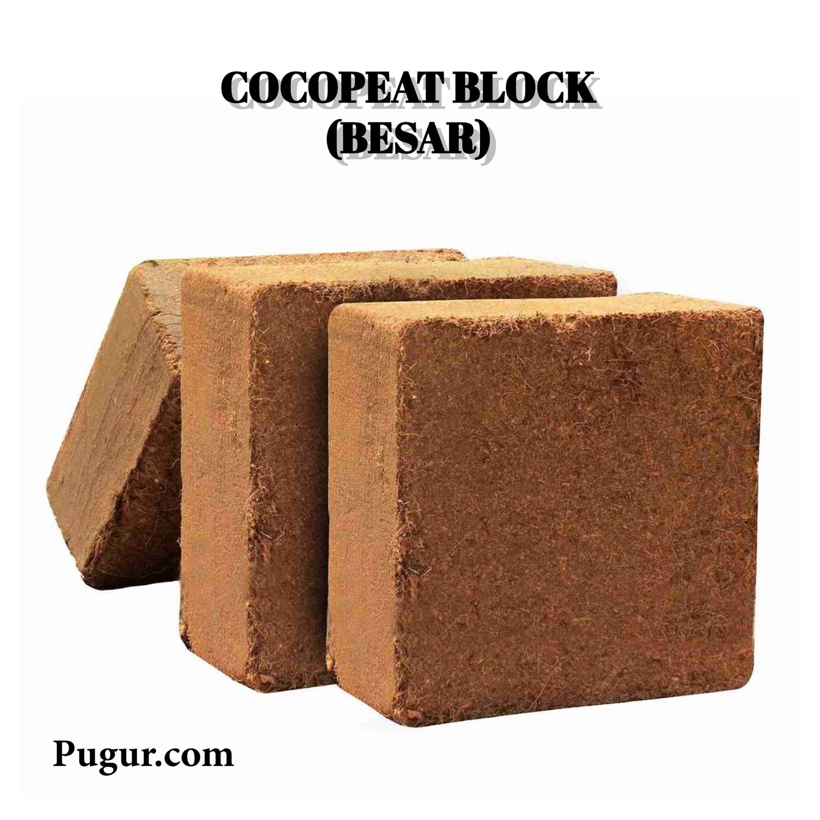 Produksi Cocopeat Block untuk Petani dan Penghobi Tanaman: Peluang Usaha dari Limbah Sabut Kelapa