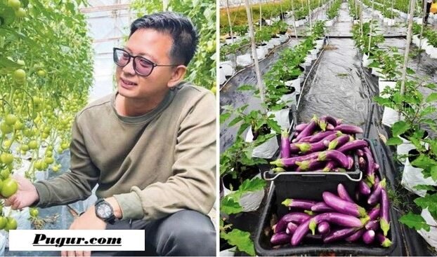 Kisah Petani Sayur Sukses Raup Rp1,3 Miliar per Bulan, Berawal dari 1.000 Polybag