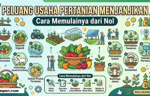 Peluang Usaha Pertanian Menjanjikan Dan Cara Memulainya dari Nol