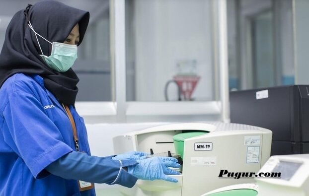 Dari Limbah hingga Karbon: Peluang Usaha Ramah Lingkungan yang Bisa Jadi Sumber Cuan