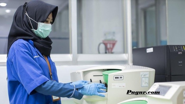 Dari Limbah hingga Karbon: Peluang Usaha Ramah Lingkungan yang Bisa Jadi Sumber Cuan