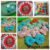 kain perca 2 615fec6624da9261b81899b4